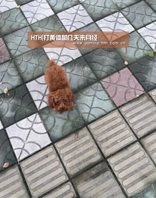 HTH|打黄体酮几天来月经(图1) HTH|打黄体酮几天来月经(图1)